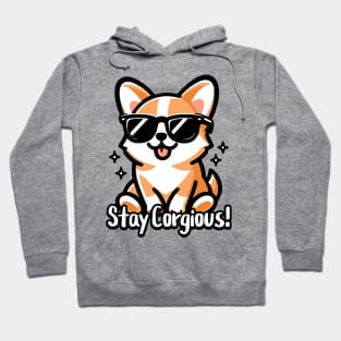 Stay Corgious! Cute Corgi Pun Hoodie